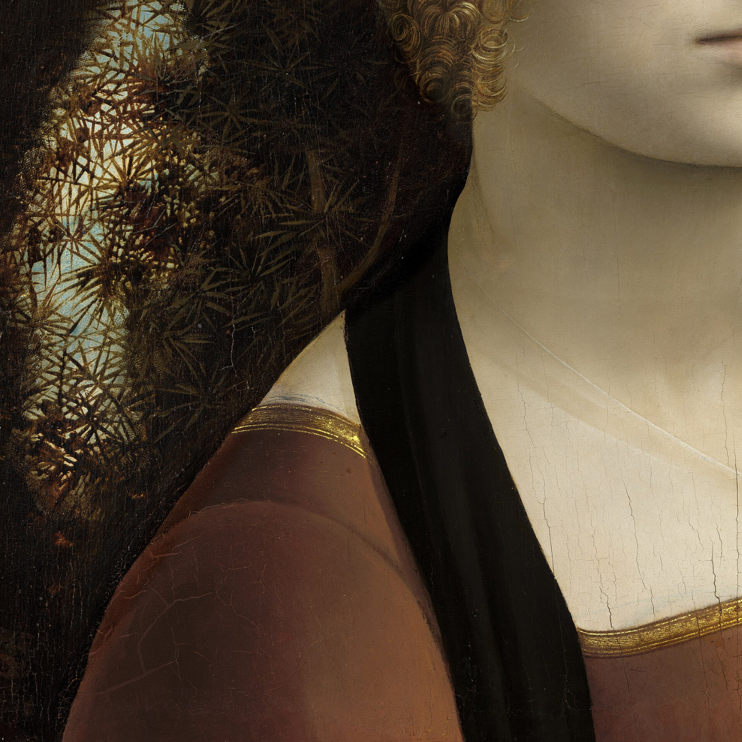 Ginevra -Leonardo da Vinci