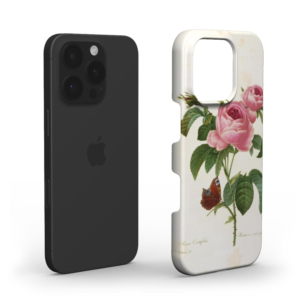 Rosa Centifolia - Pierre Joseph Redouté