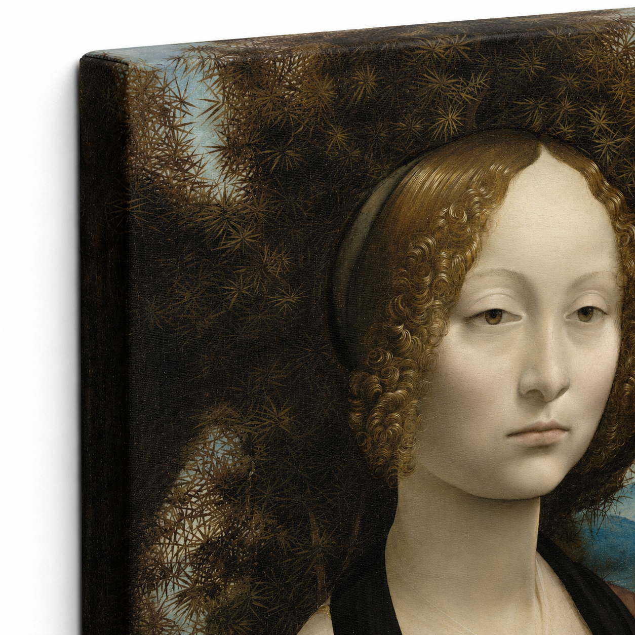 Ginevra -Leonardo da Vinci